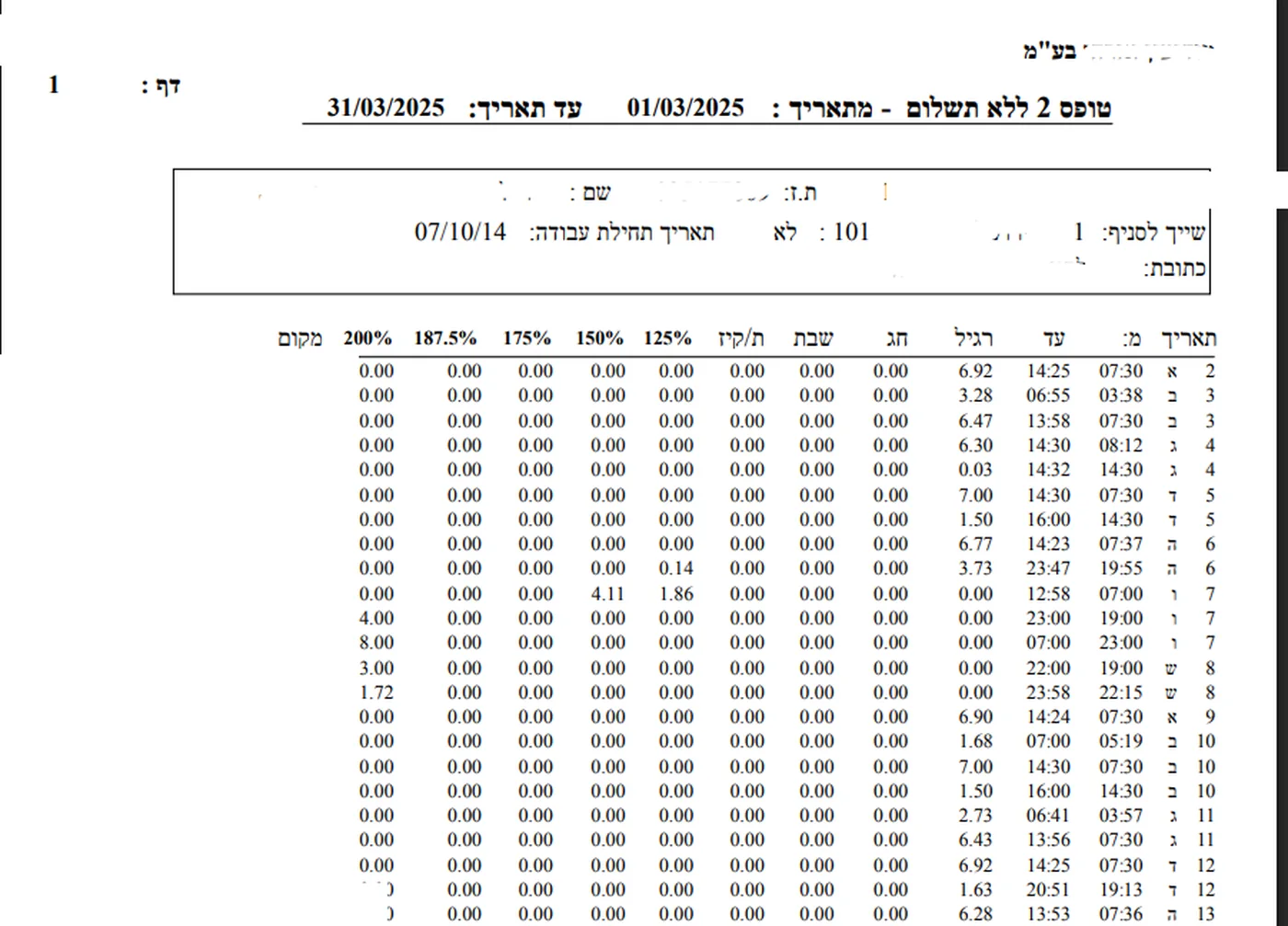 דוח טופס 2 ללא תשלום של מג׳יק ב-PDF — שעות לפי דרגות ושיוך למקום העבודה