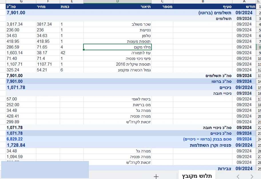 ייצוא התלושים לאקסל — שורה לכל רכיב, מקובצת לתשלומים, ניכויים, פנסיה וצבירות